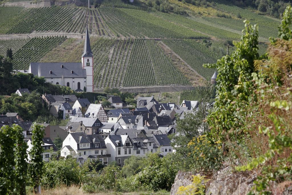 Ferienwohnung Weingut Paul Stölben Briedel Exterior foto