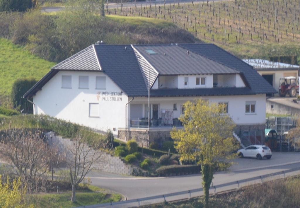 Ferienwohnung Weingut Paul Stölben Briedel Exterior foto